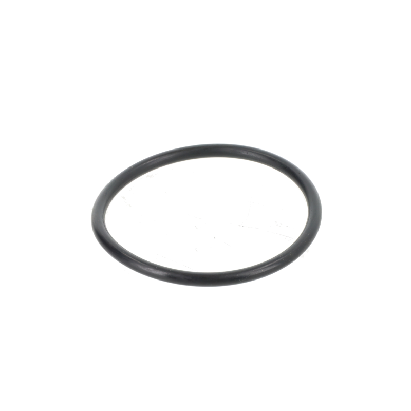 Fendt O-Ring Fendt O-Ring