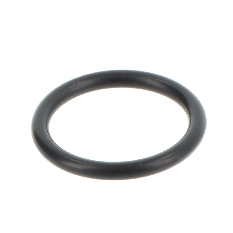 AGCO O-RING