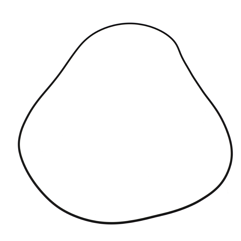 AGCO O-RING