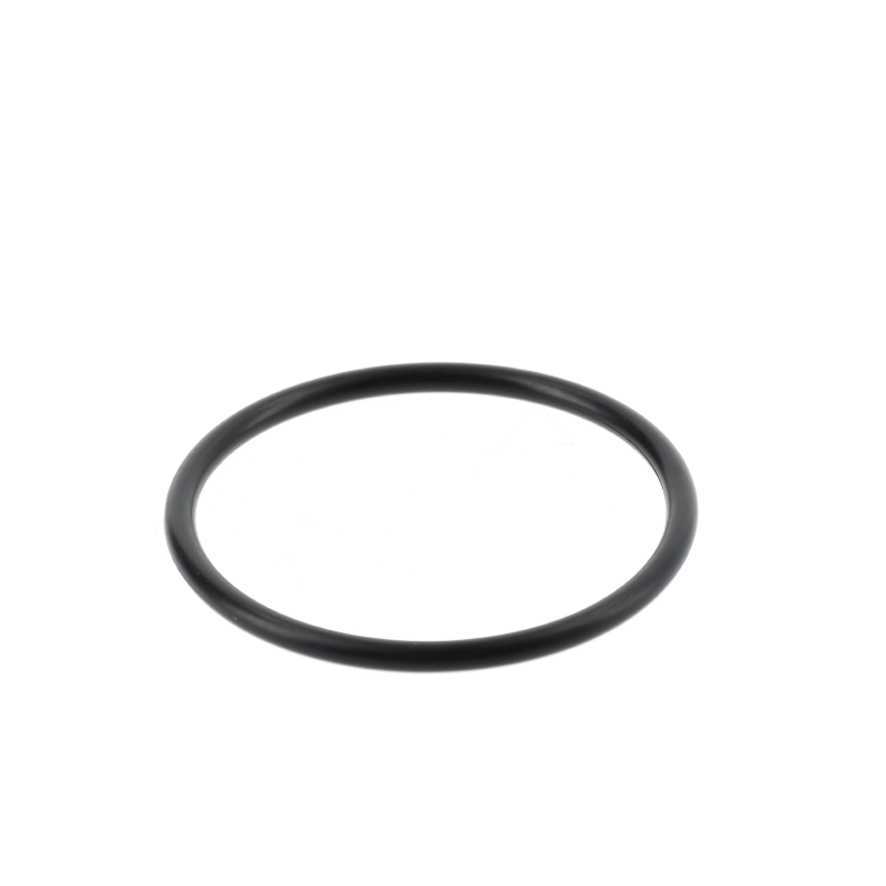 Fendt O-RING
