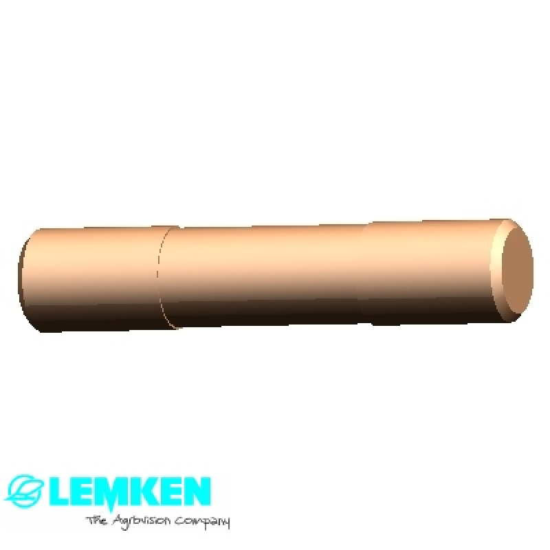 Bolzen D12x60