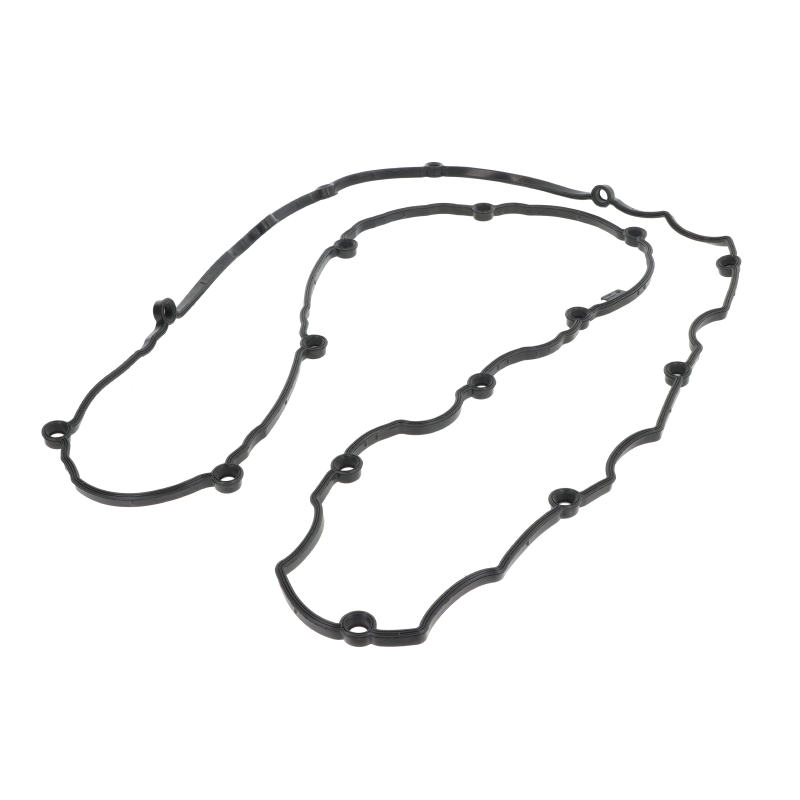 AGCO Dichtung