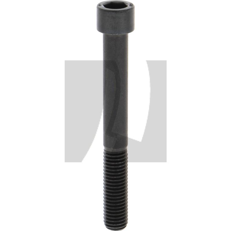 Zylinderschraube M12x100 DIN 912 12.9