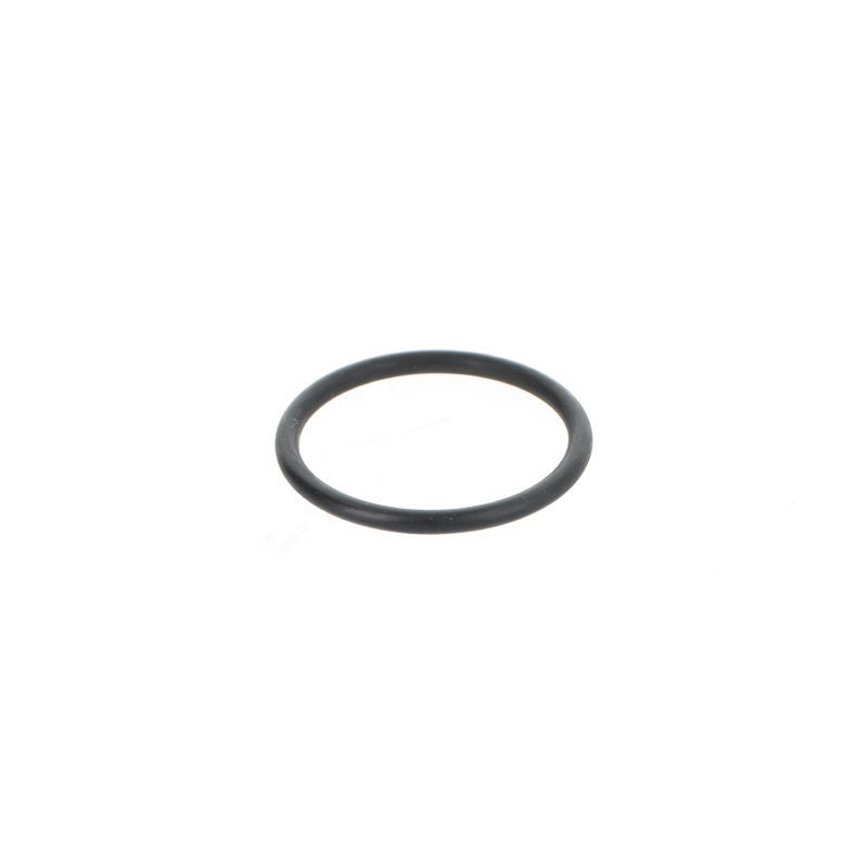 Fendt O-RING
