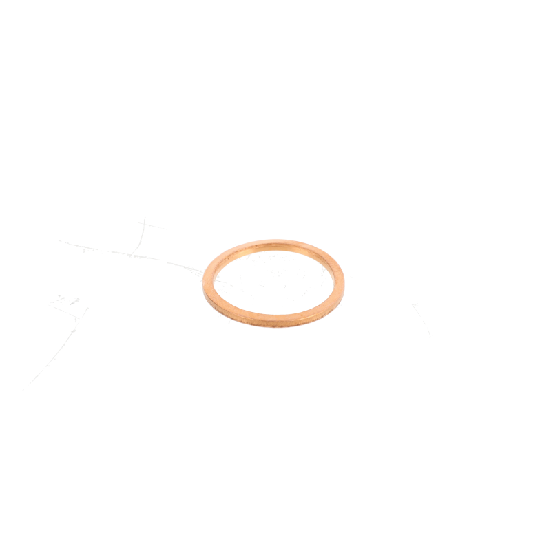 AGCO Dichtring