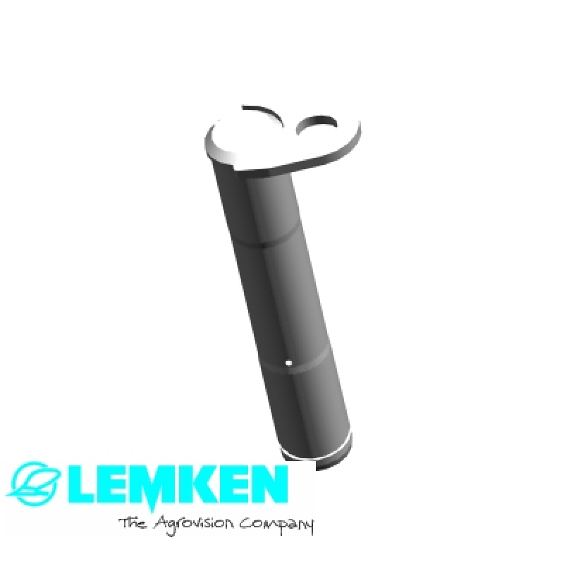 Bolzen mit Verdrehsicherung D50x265/290-