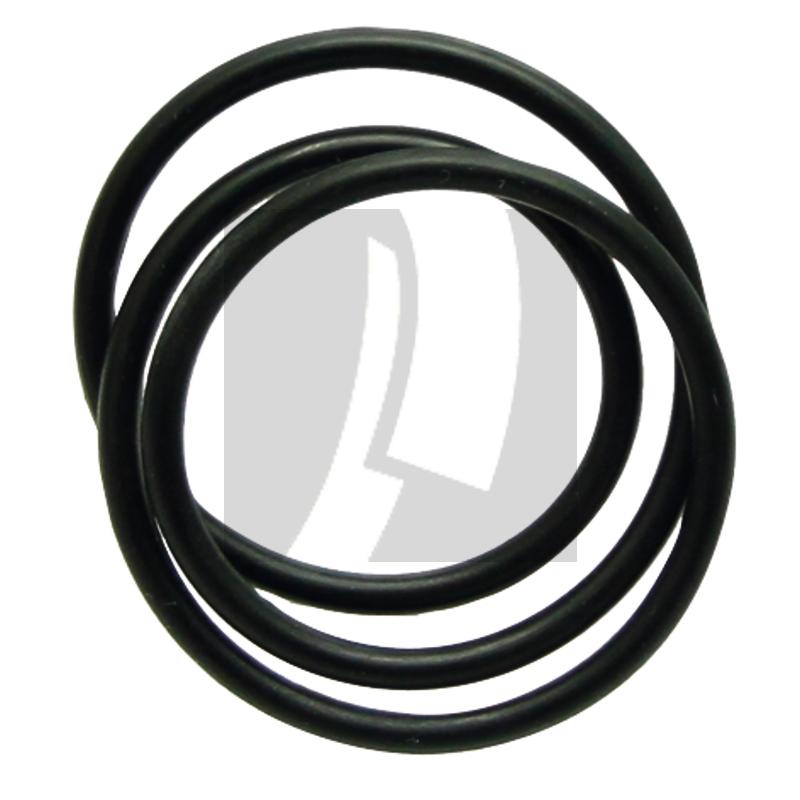 O-Ring Vicon 