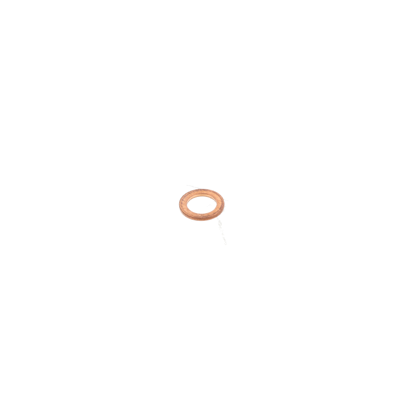 AGCO Dichtring
