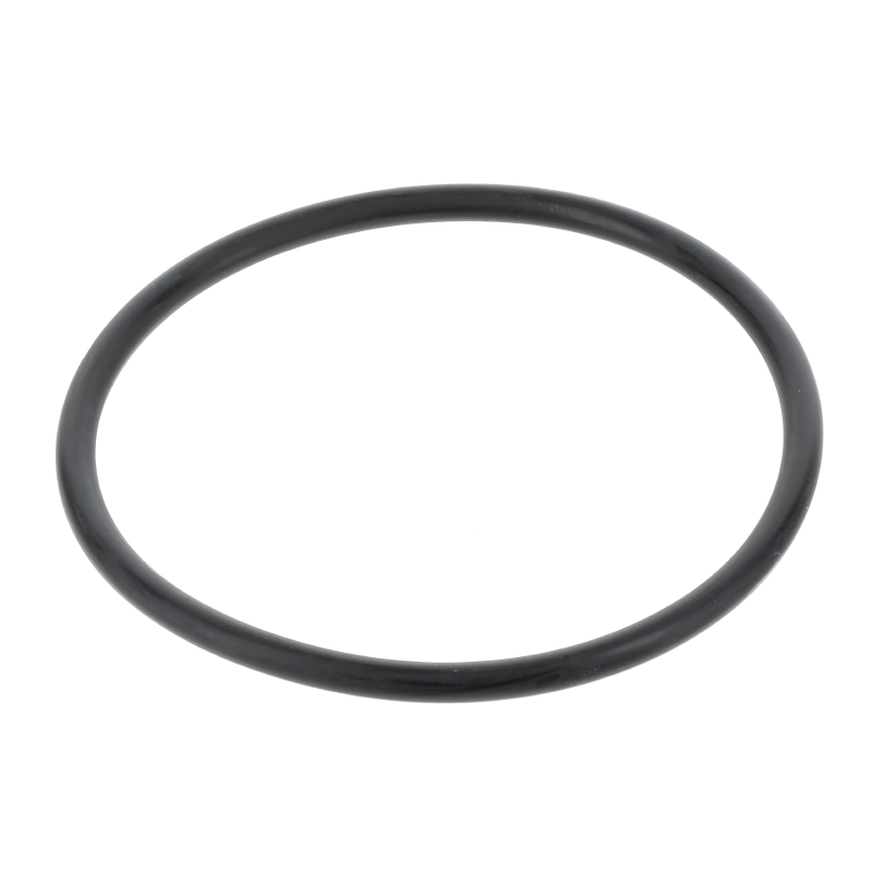 Fendt O-Ring