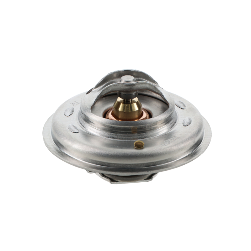 AGCO Thermostat