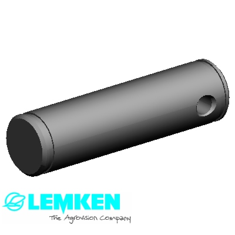 Bolzen D19,5x73 1xD6