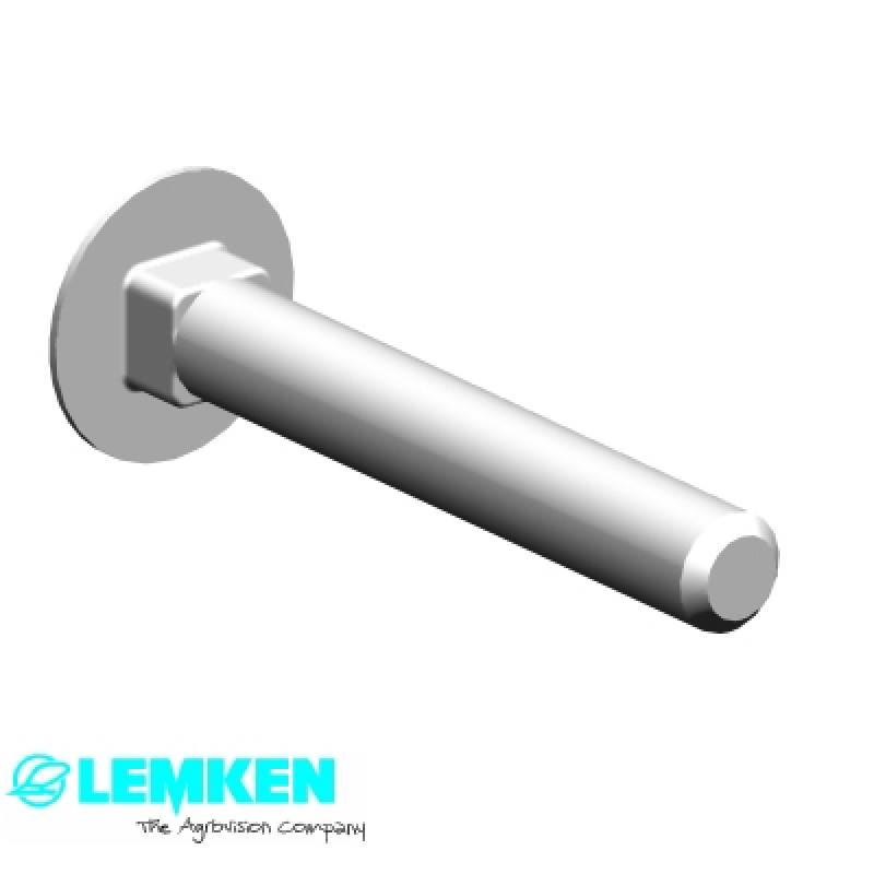 Flachrundschraube M10x70-4.6 DIN603 BK30