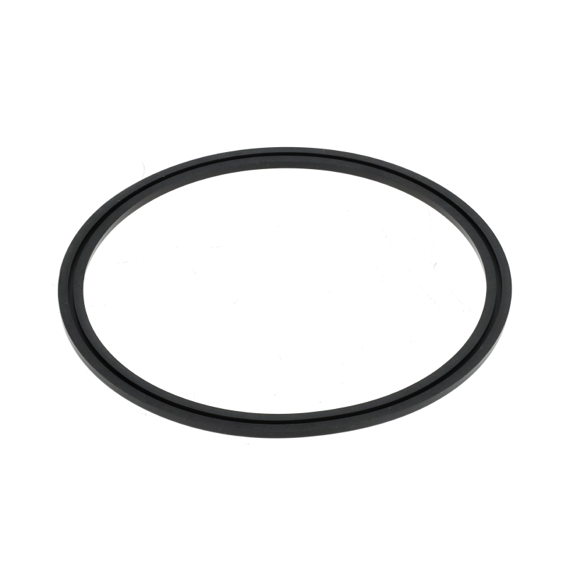 AGCO Lippendichtring
