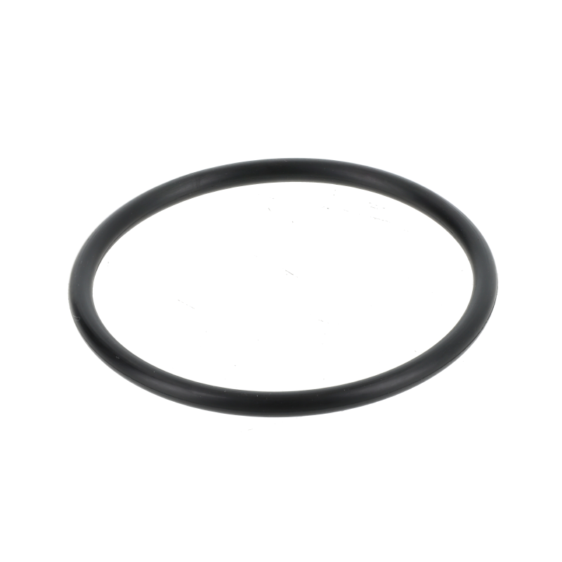 Fendt O-Ring