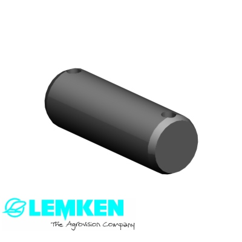 Bolzen D25x70 2xD6
