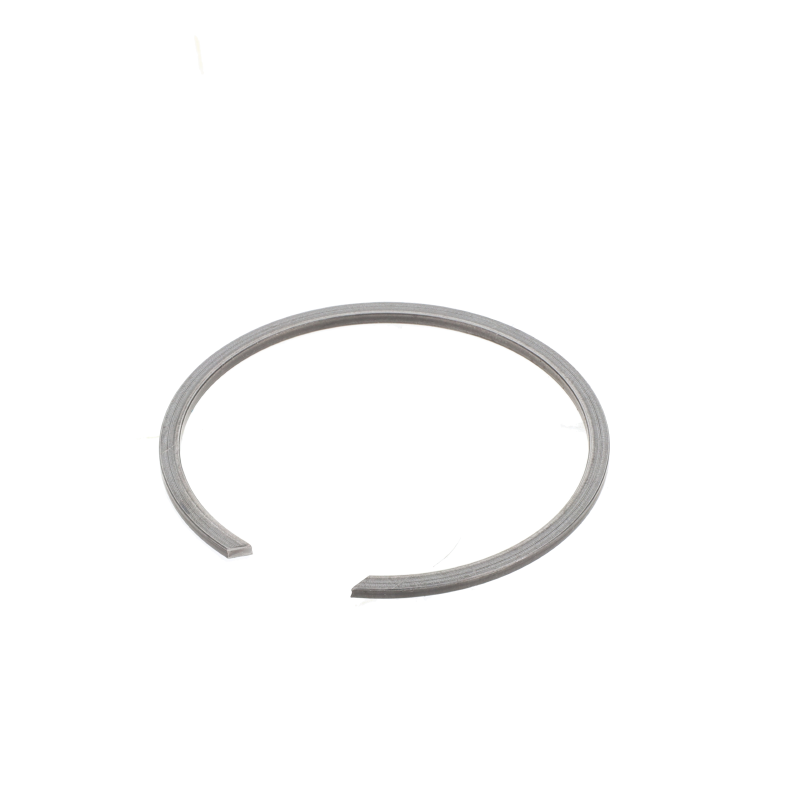 Fendt Sicherungsring