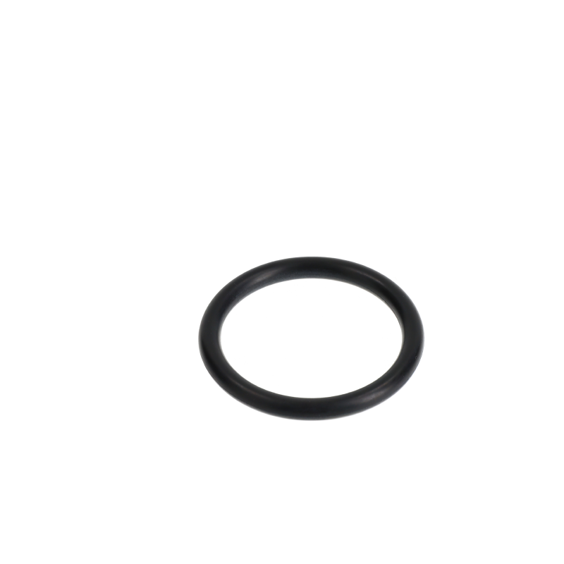 AGCO O-RING