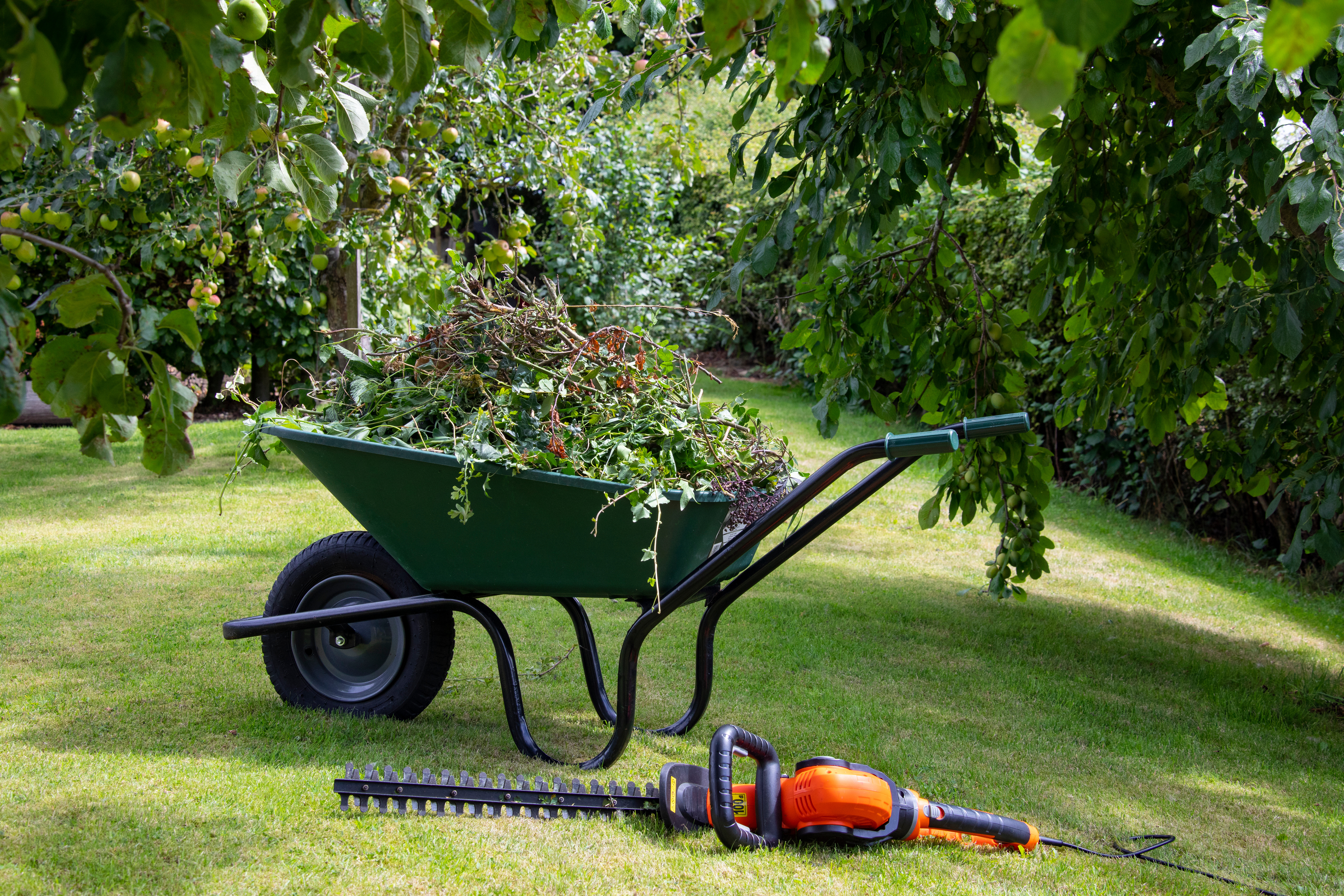 Schubkarre mit Grünschnitt im Garten, davor liegt eine Heckenschere auf dem Boden