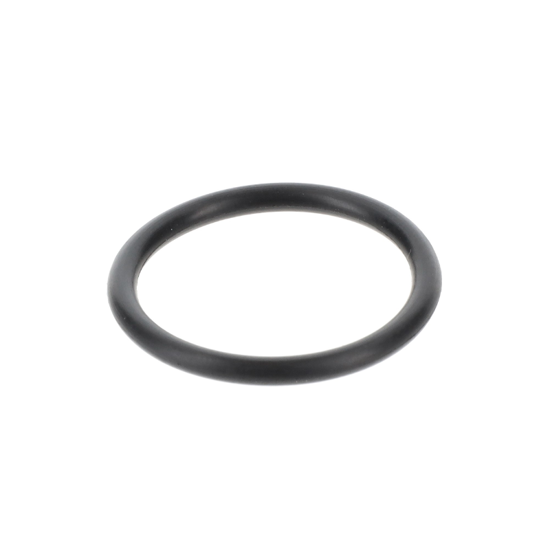 AGCO O-RING