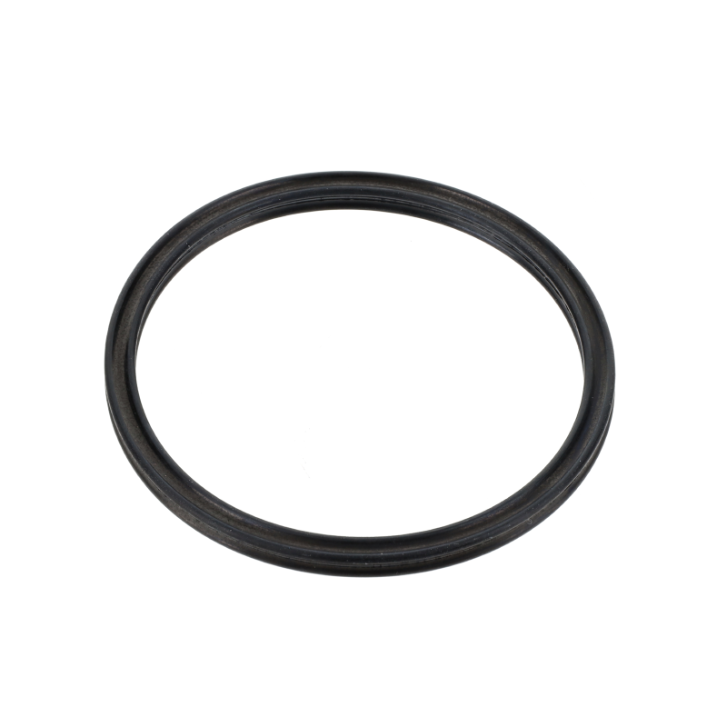 AGCO DICHTUNGSRING