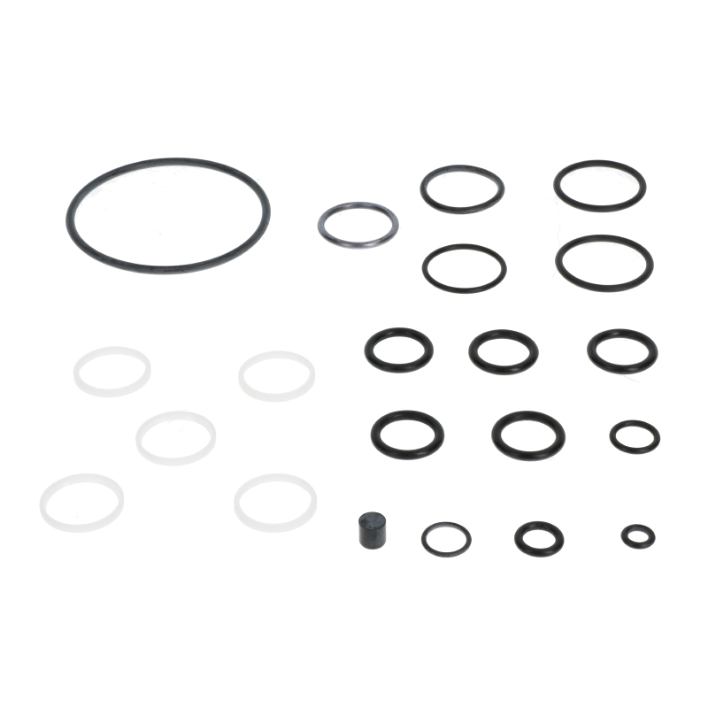 AGCO Dichtungssatz