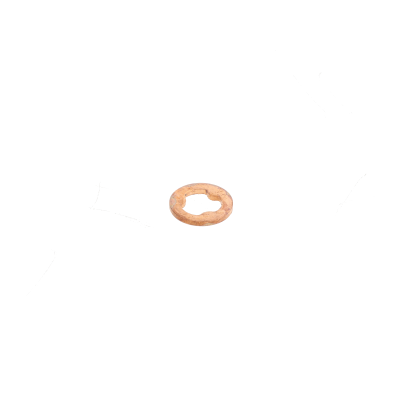 AGCO Dichtring