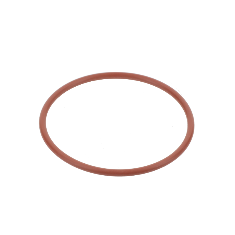 Fendt O-Ring