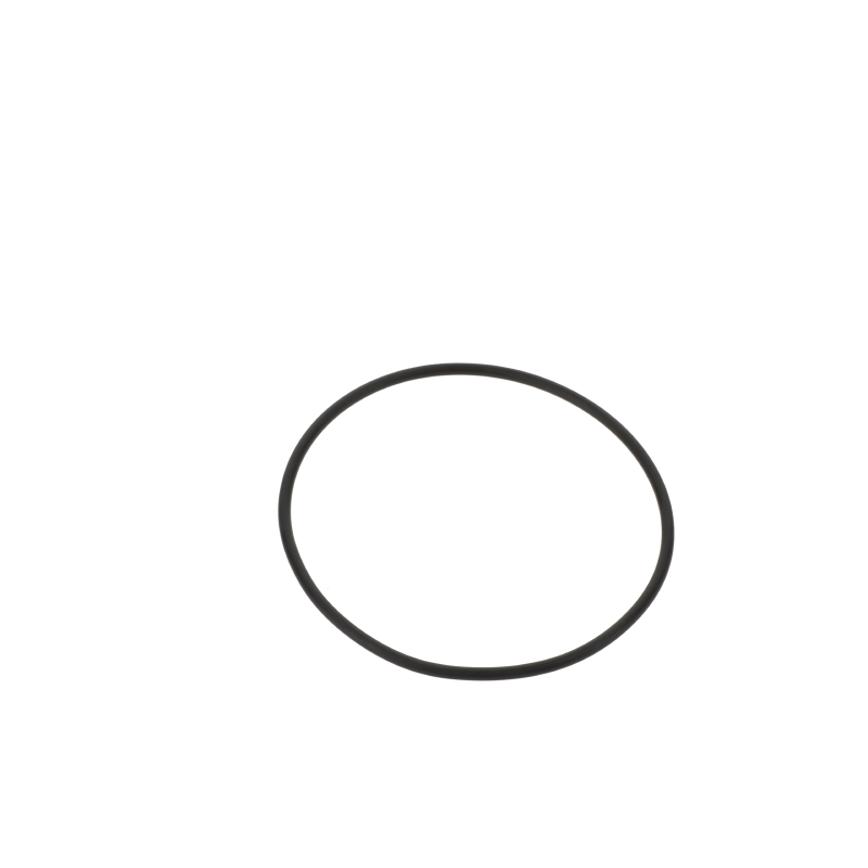 AGCO O-RING