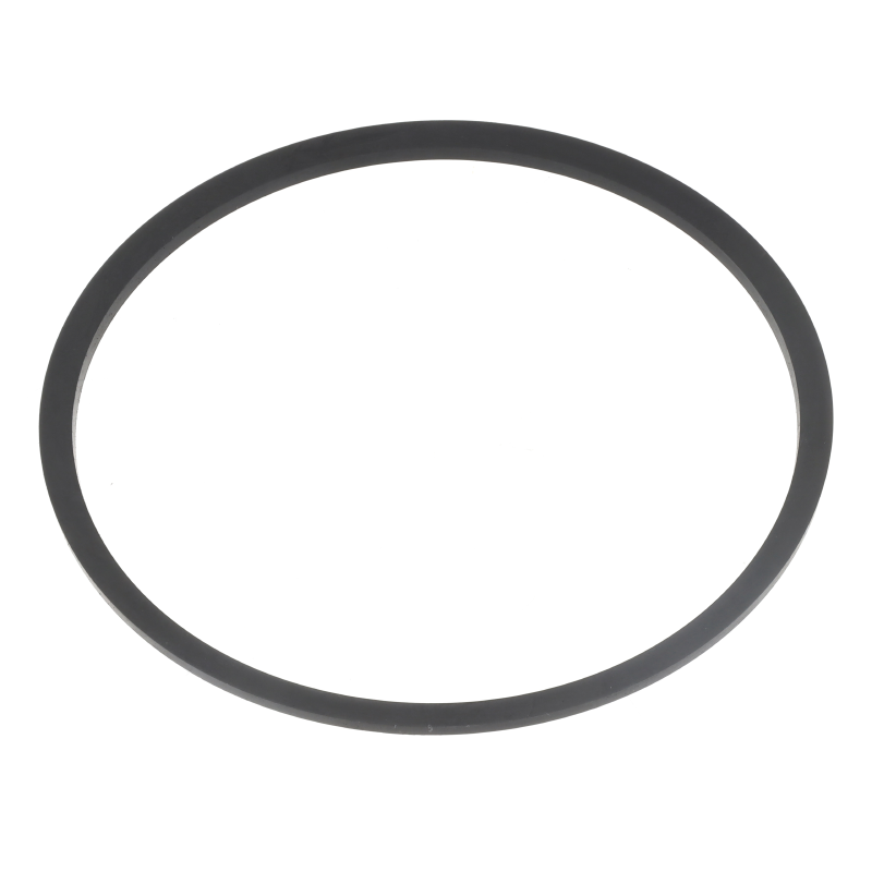 AGCO Dichtring