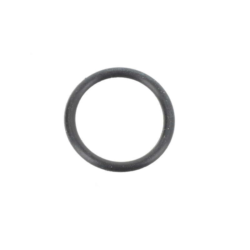 AGCO O-RING