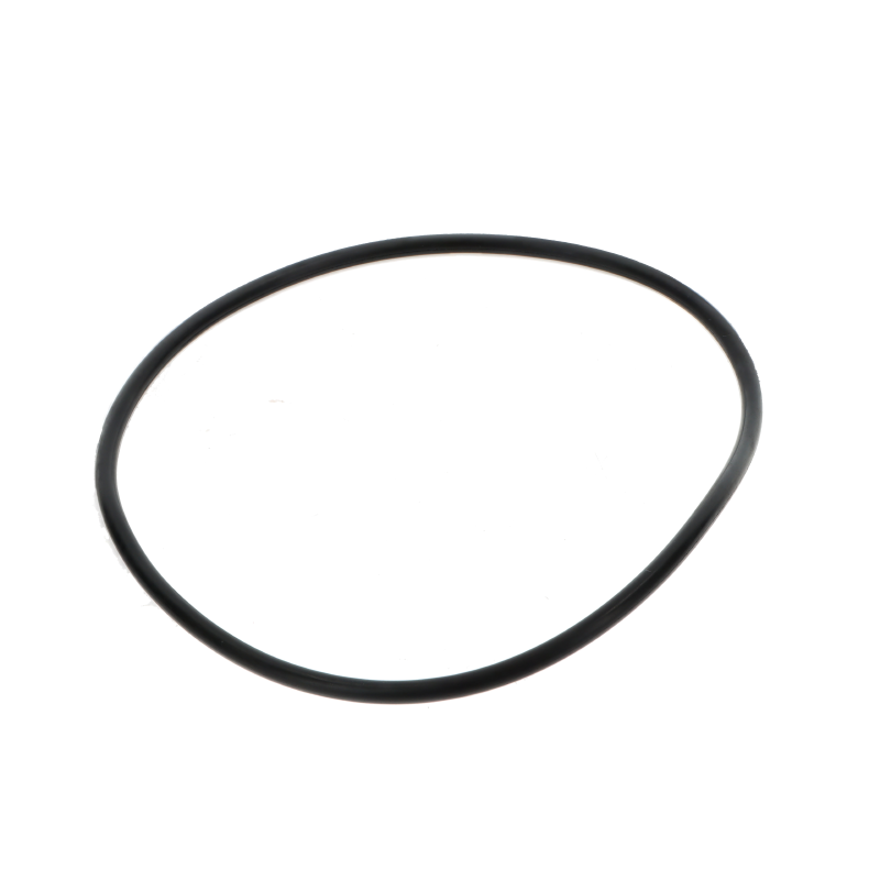 Fendt O-Ring