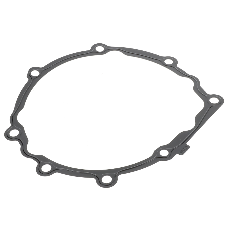 AGCO Dichtung