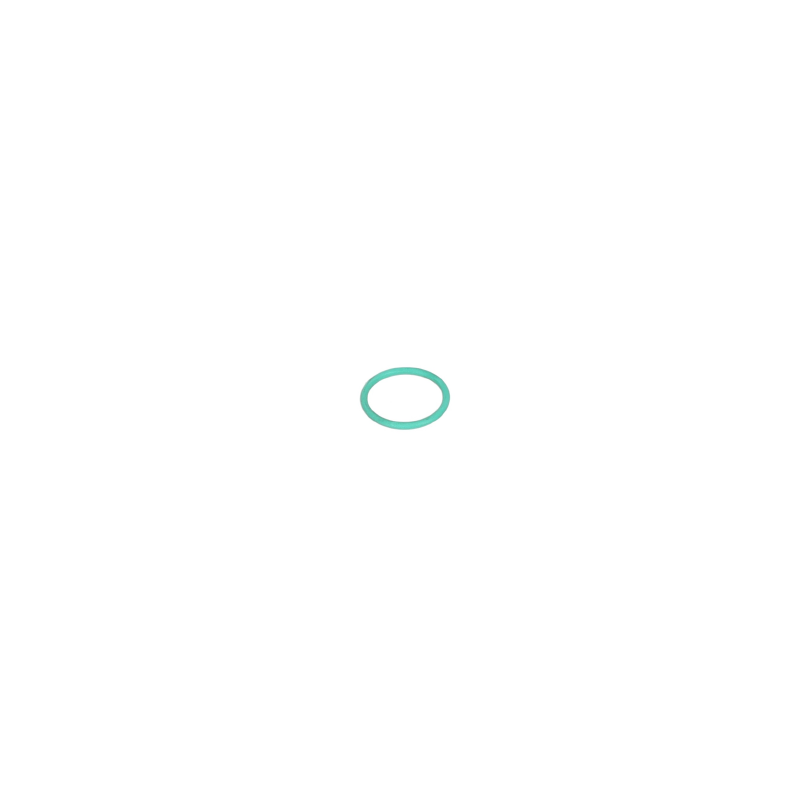 AMAZONE O-Ring 29,00X3,00
