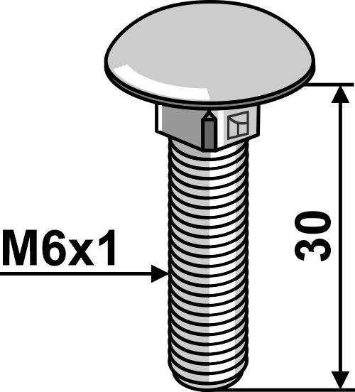 Flachrundschraube M6x1x30 - galvanisch verzinkt