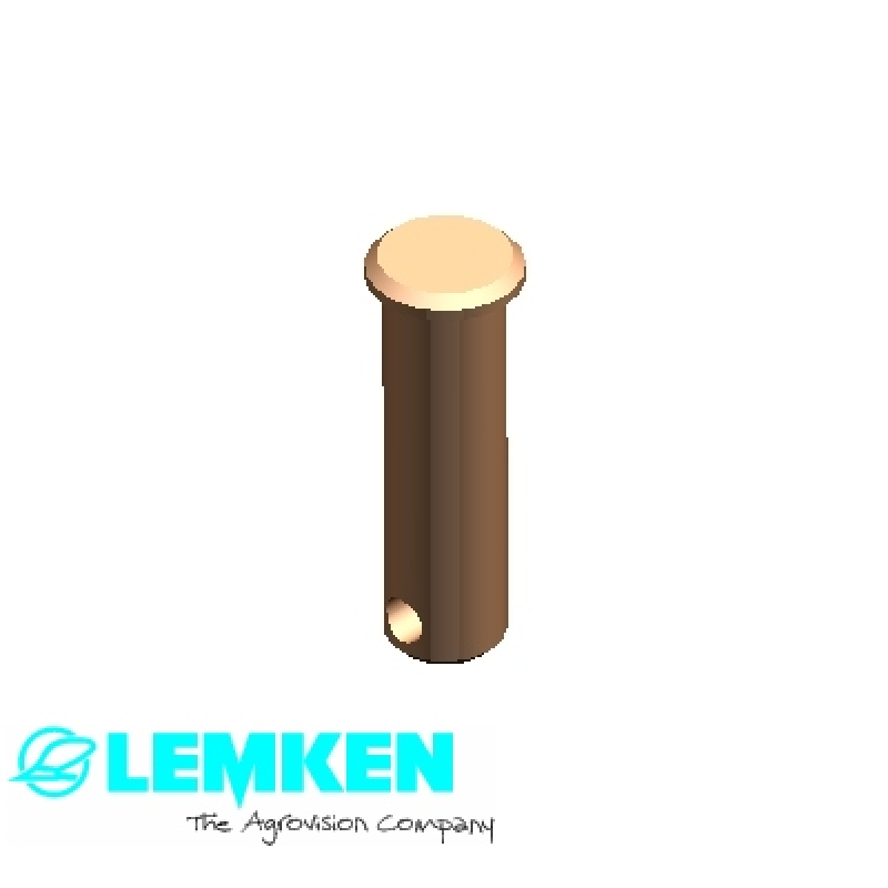 Bolzen mit Kopf D20x59/75 Zn