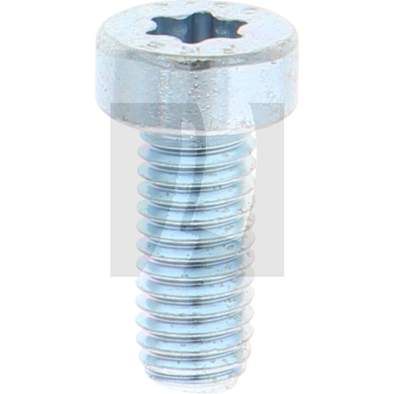 Zylinderschraube M5x12 DIN 7984, VPE 500