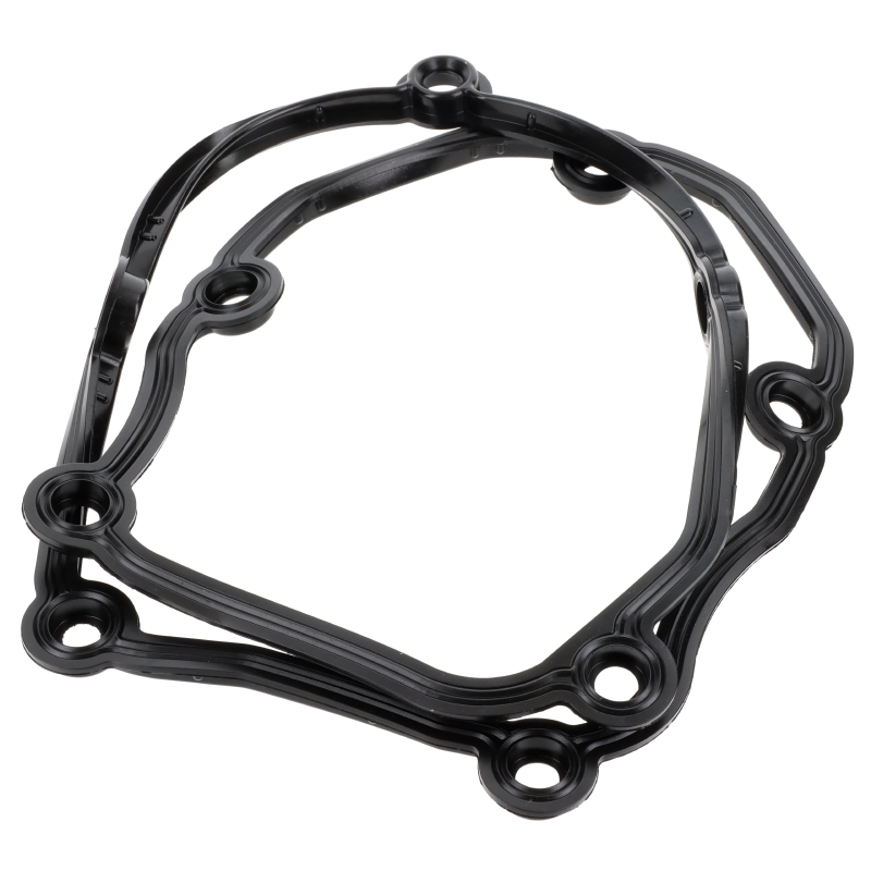 AGCO Dichtung