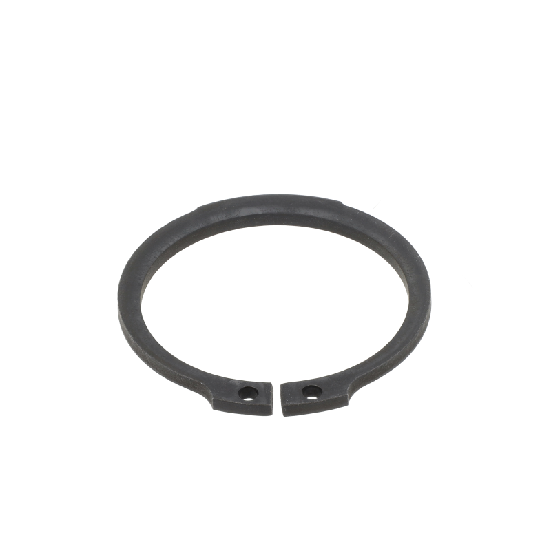Fendt Sicherungsring