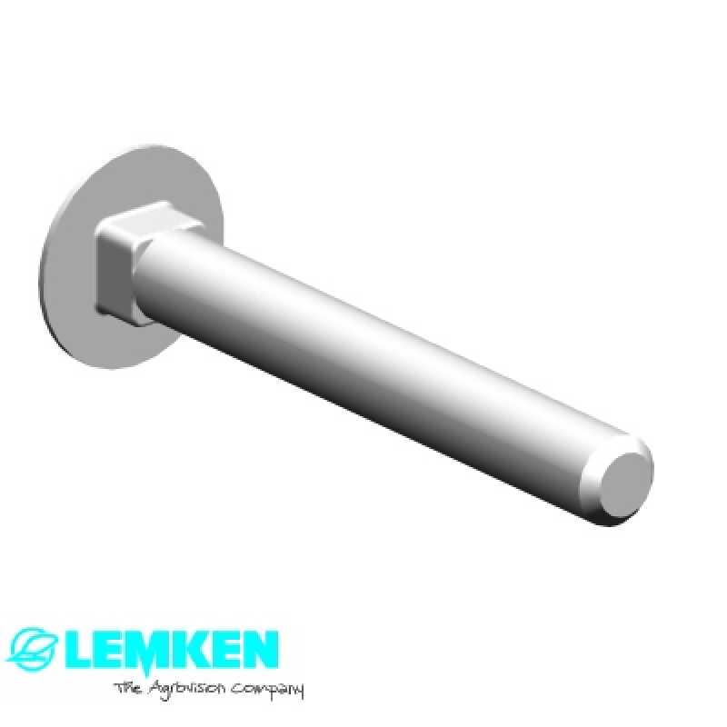 Flachrundschraube M10x80-4.6 DIN603 BK30