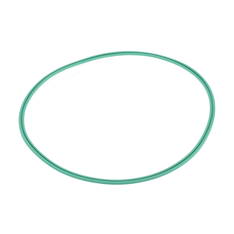 AGCO Lippendichtring