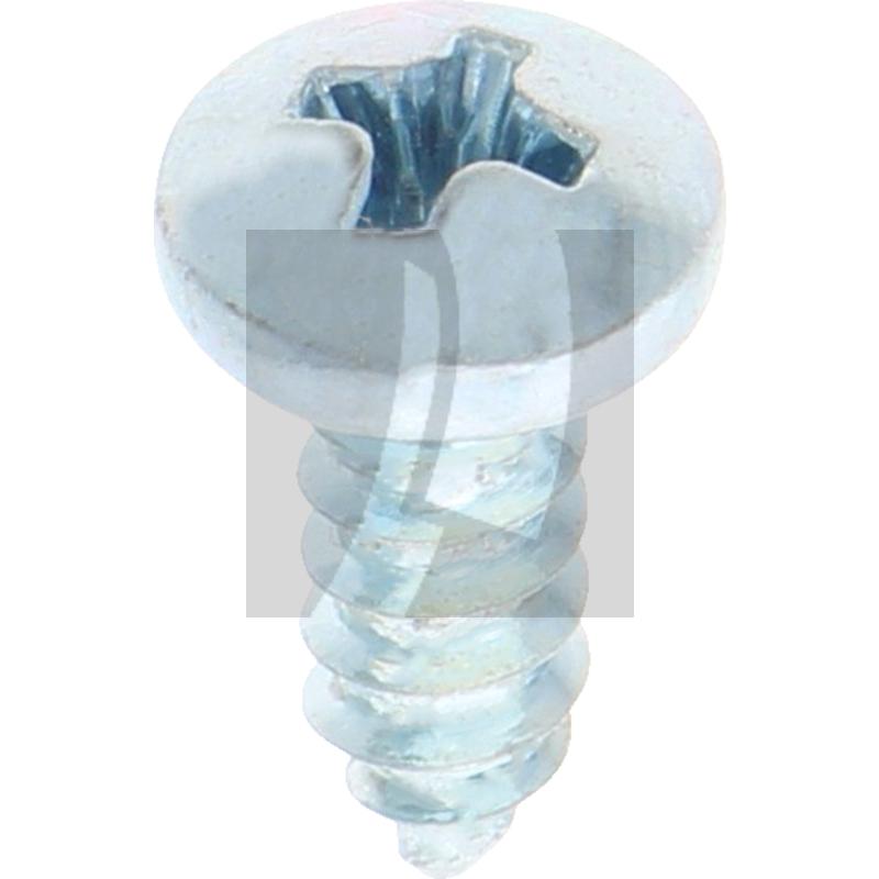 Linsen-Blechschraube 4,8x13 DIN 7981