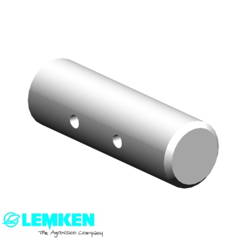 Bolzen D25x19/80 2xD5 Zn