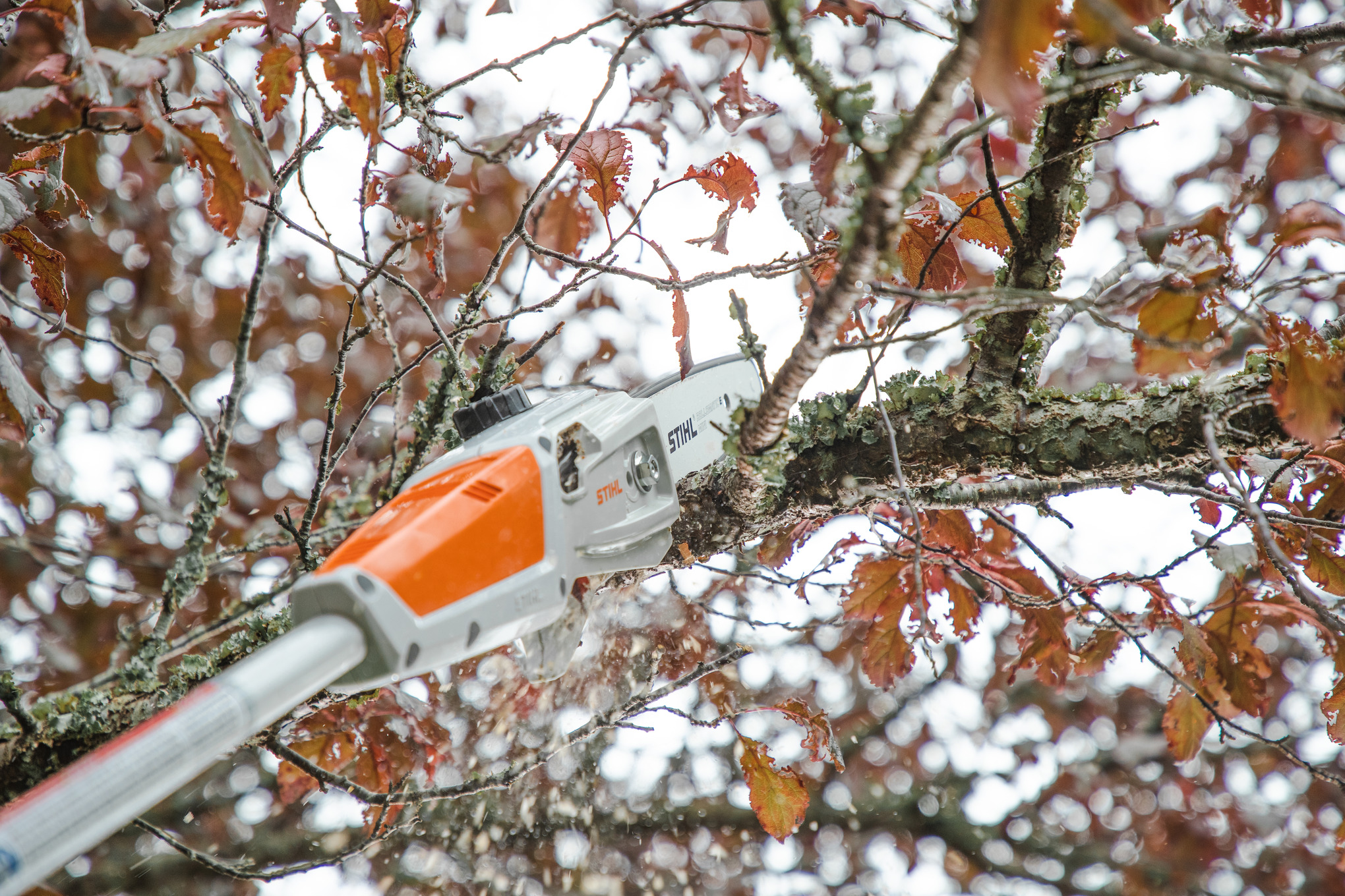 STIHL Akku-Hochentaster HTA 50 ohne Akku und Ladegerät STIHL Akku-Hochentaster HTA 50 ohne Akku und Ladegerät