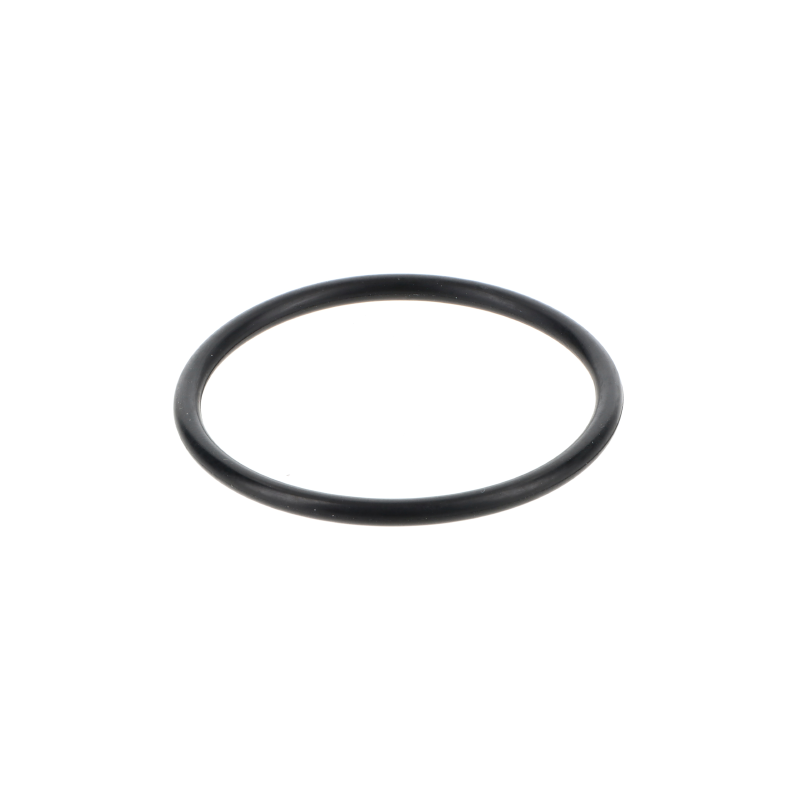 Fendt O-Ring