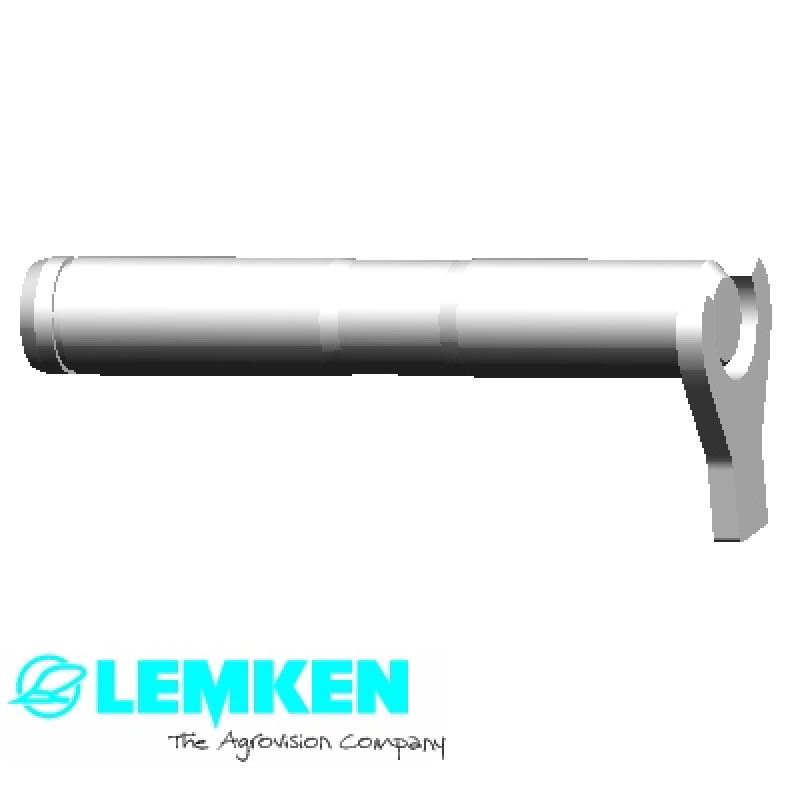 Bolzen mit Verdrehsicherung D35x197/215