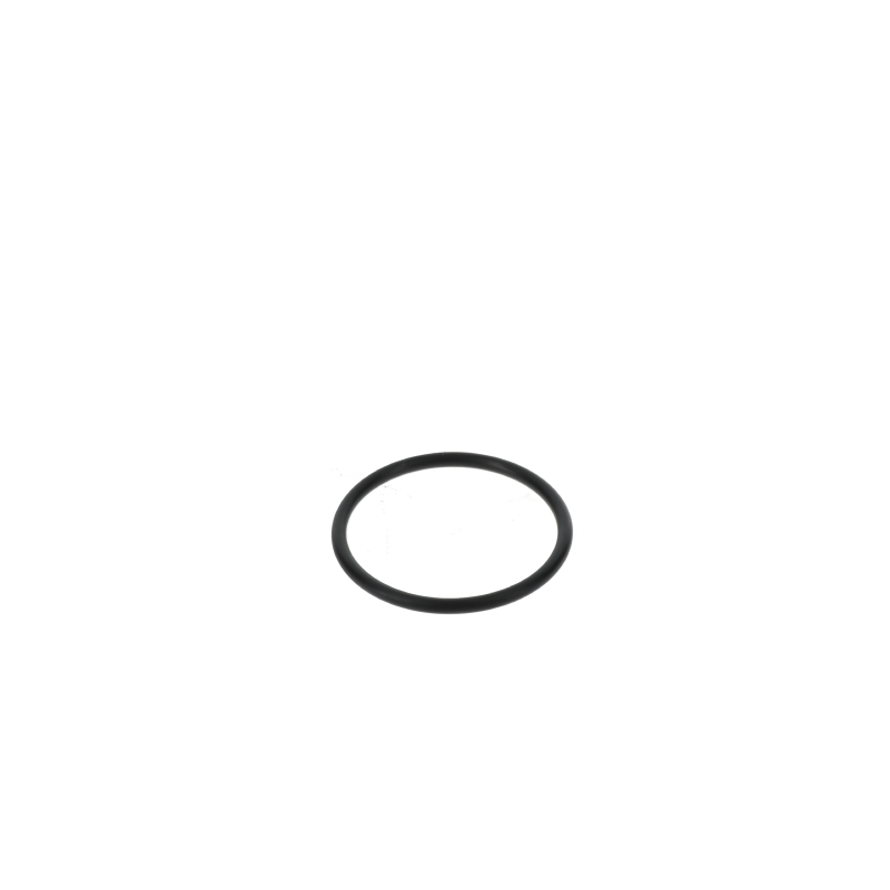 AGCO O-RING
