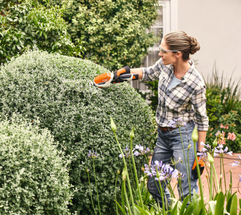 Frau schneidet Strauch mit der STIHL HSA26 Akku-Heckenschere im Garten.