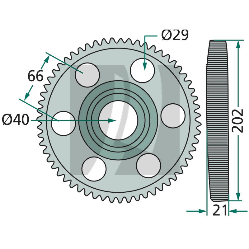 Stirnrad 59 Zähne 59 Zähne Krone 
