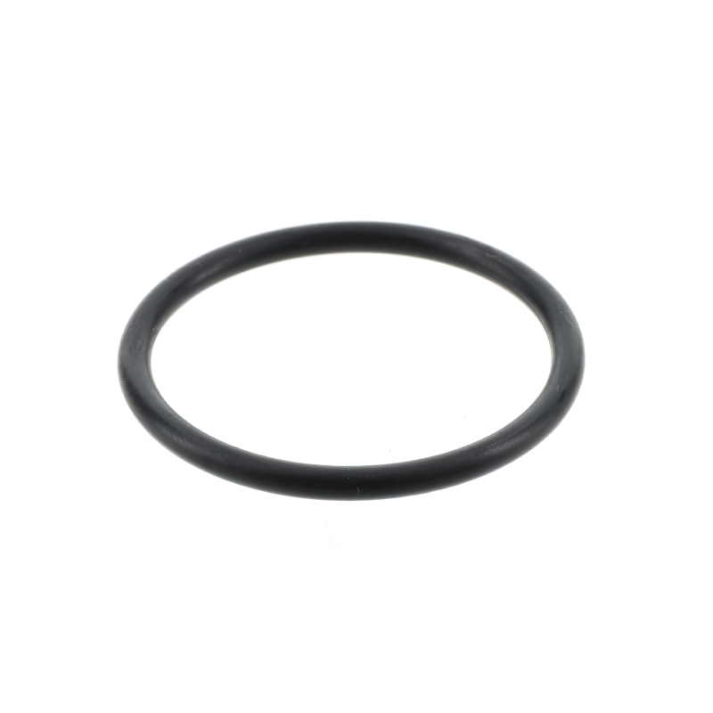 AGCO O-RING