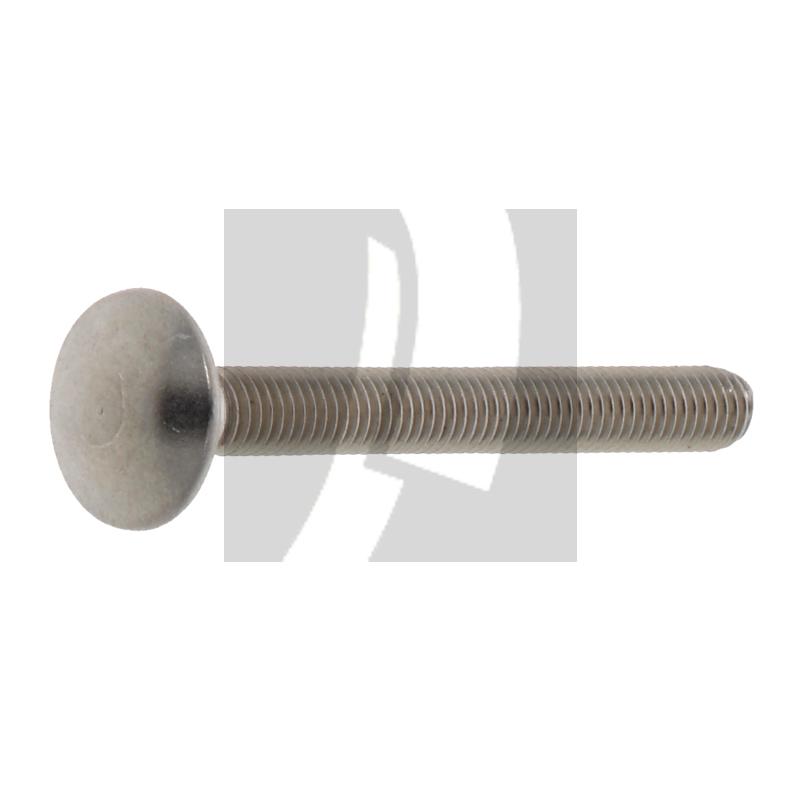 Schlossschraube M5x45 DIN 603